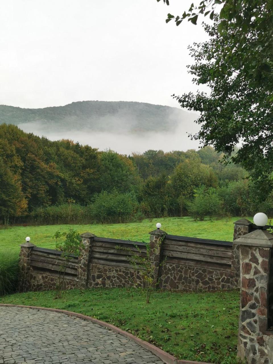 Kvitka Svalyava